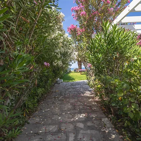 Aggistri Seafront House Pefkochori